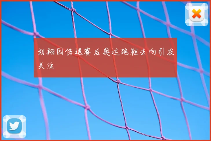 刘翔因伤退赛后奥运跑鞋去向引发关注