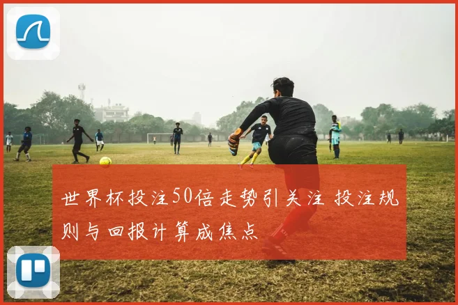世界杯投注50倍走势引关注 投注规则与回报计算成焦点