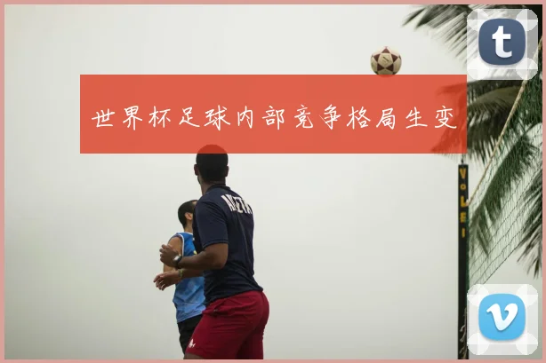 世界杯足球内部竞争格局生变