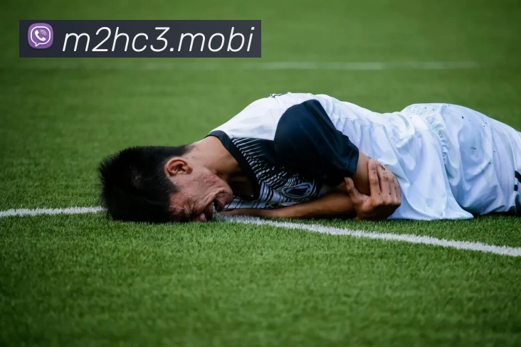 开云(中国)Kaiyun·官方网站 - 登录入口服务体系